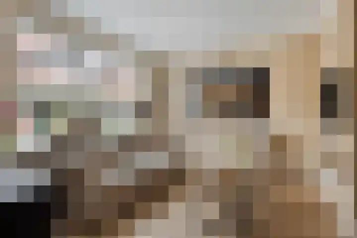 Adamsweg 45 Hengelo thumbnail 8