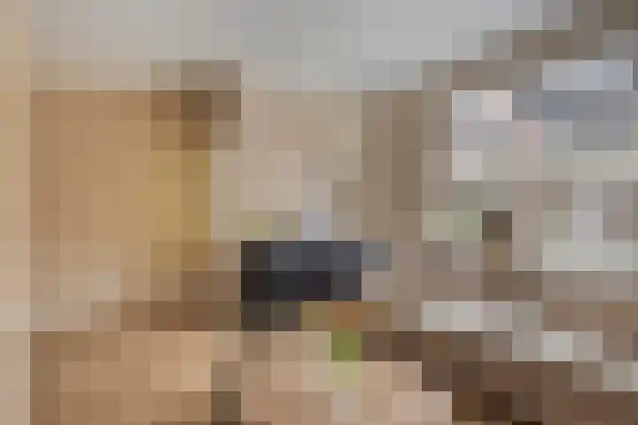 Adamsweg 45 Hengelo thumbnail 9
