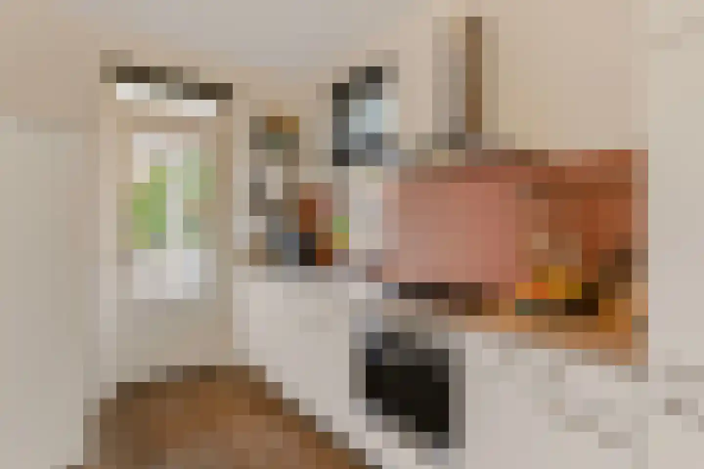 Adastraat 22 Hengelo thumbnail 12