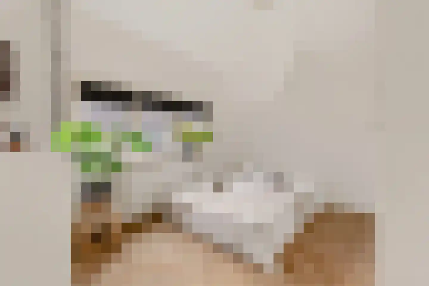 Adastraat 22 Hengelo thumbnail 19