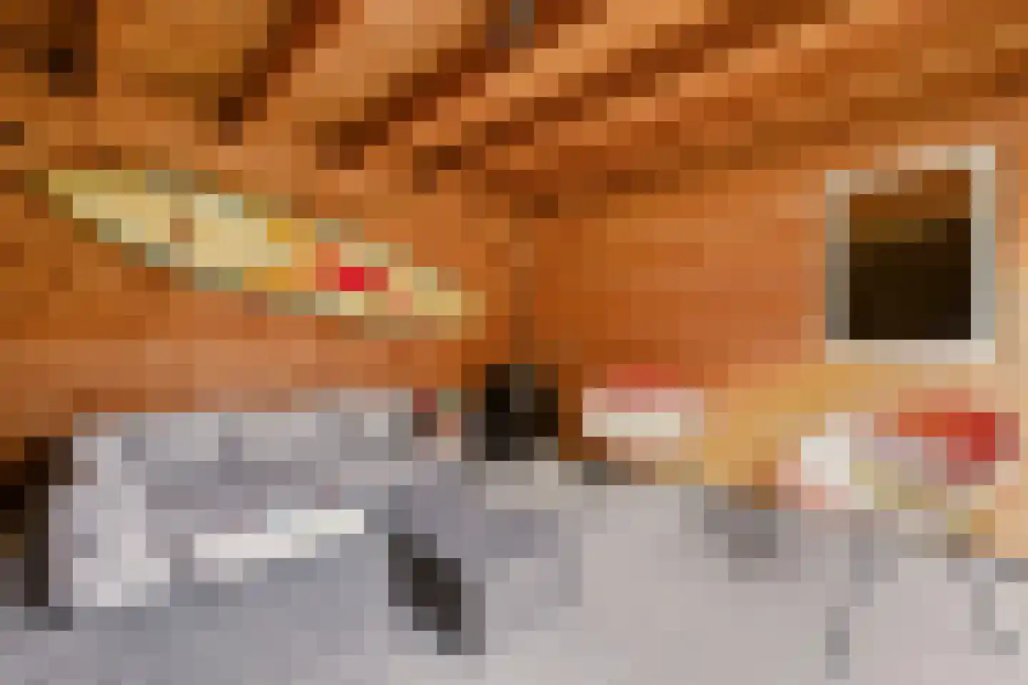 Adastraat 22 Hengelo thumbnail 26