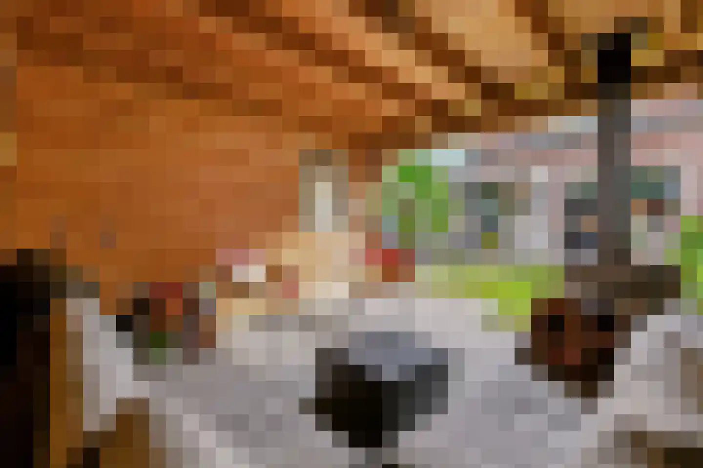 Adastraat 22 Hengelo thumbnail 27
