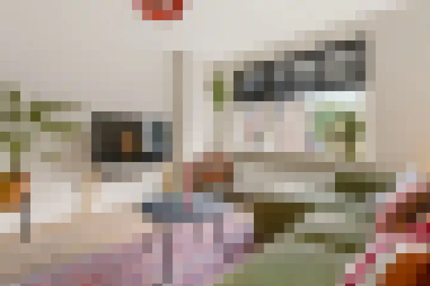 Adastraat 22 Hengelo thumbnail 5