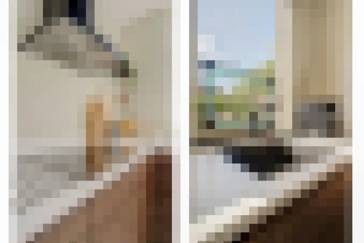 Adderhof 3 Delft thumbnail 16