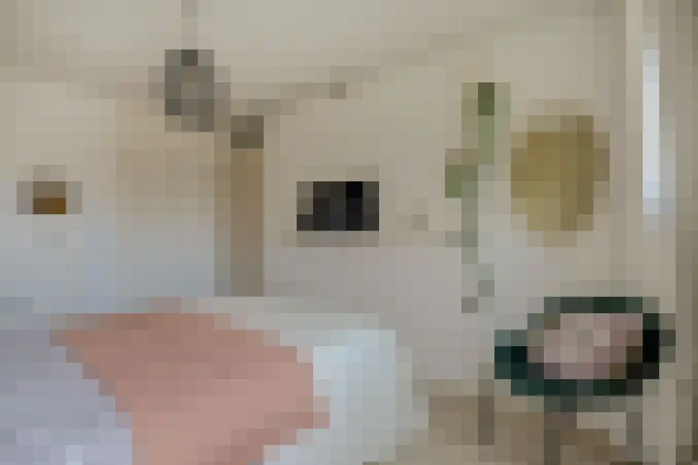 Adderhof 3 Delft thumbnail 21