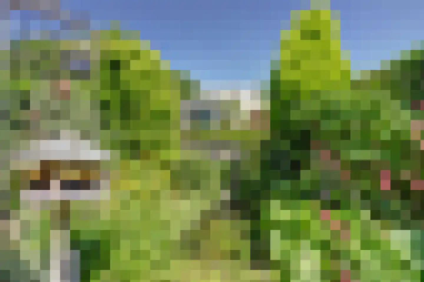 Adderhof 3 Delft thumbnail 33