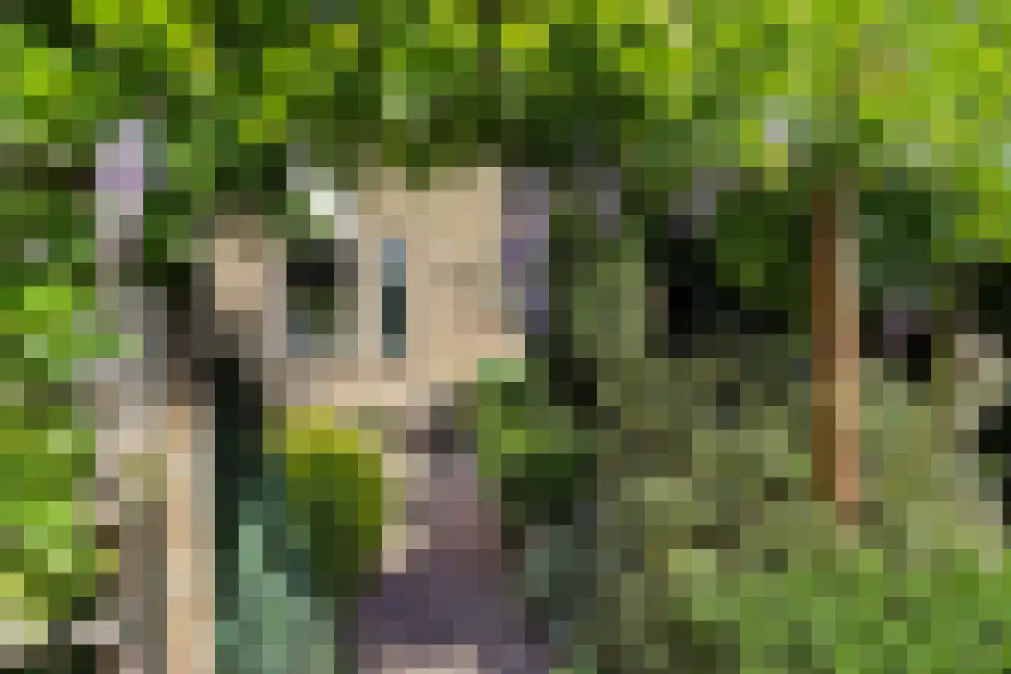 Adderhof 3 Delft thumbnail 8