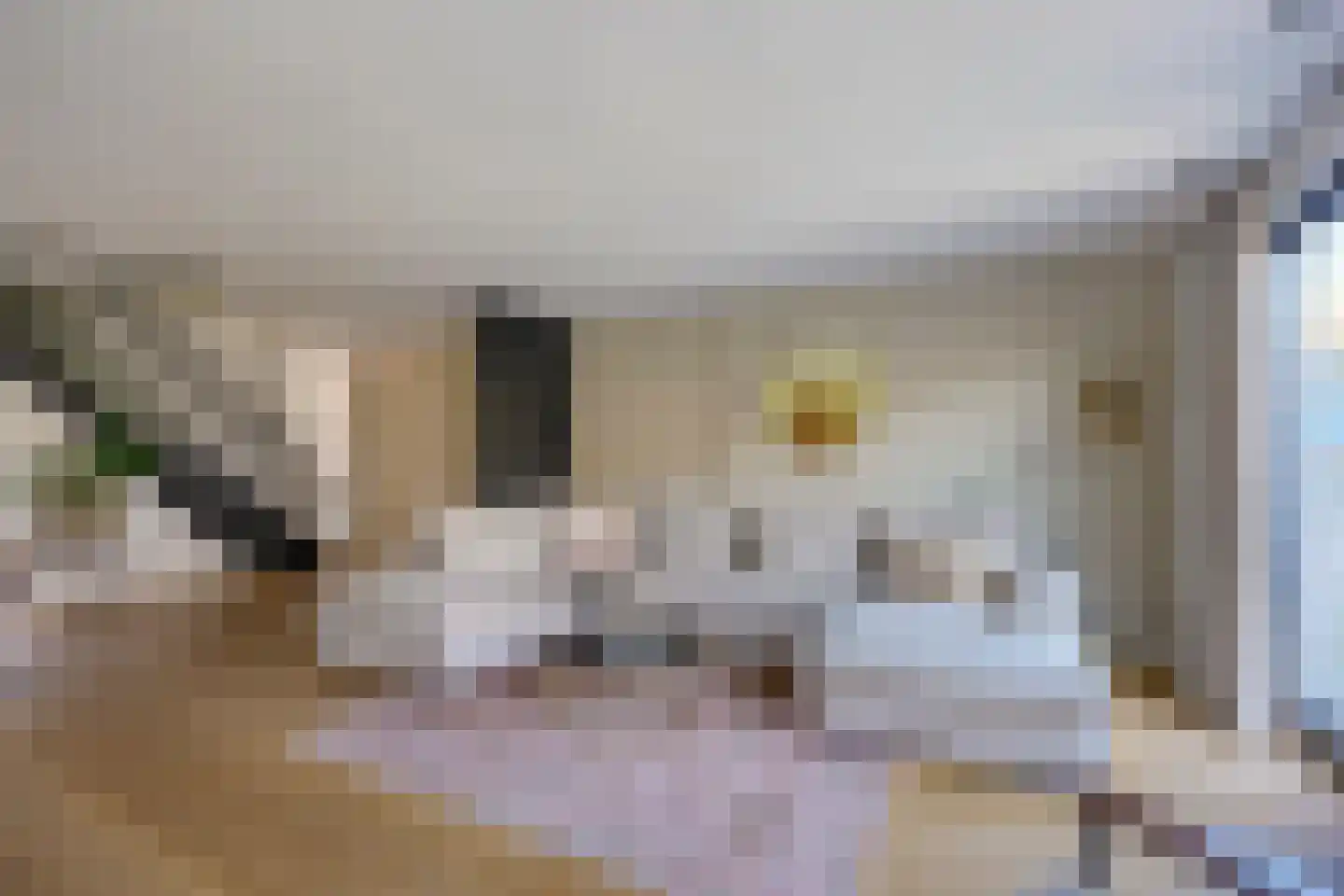 Adderwortel 12 De Meern thumbnail 22