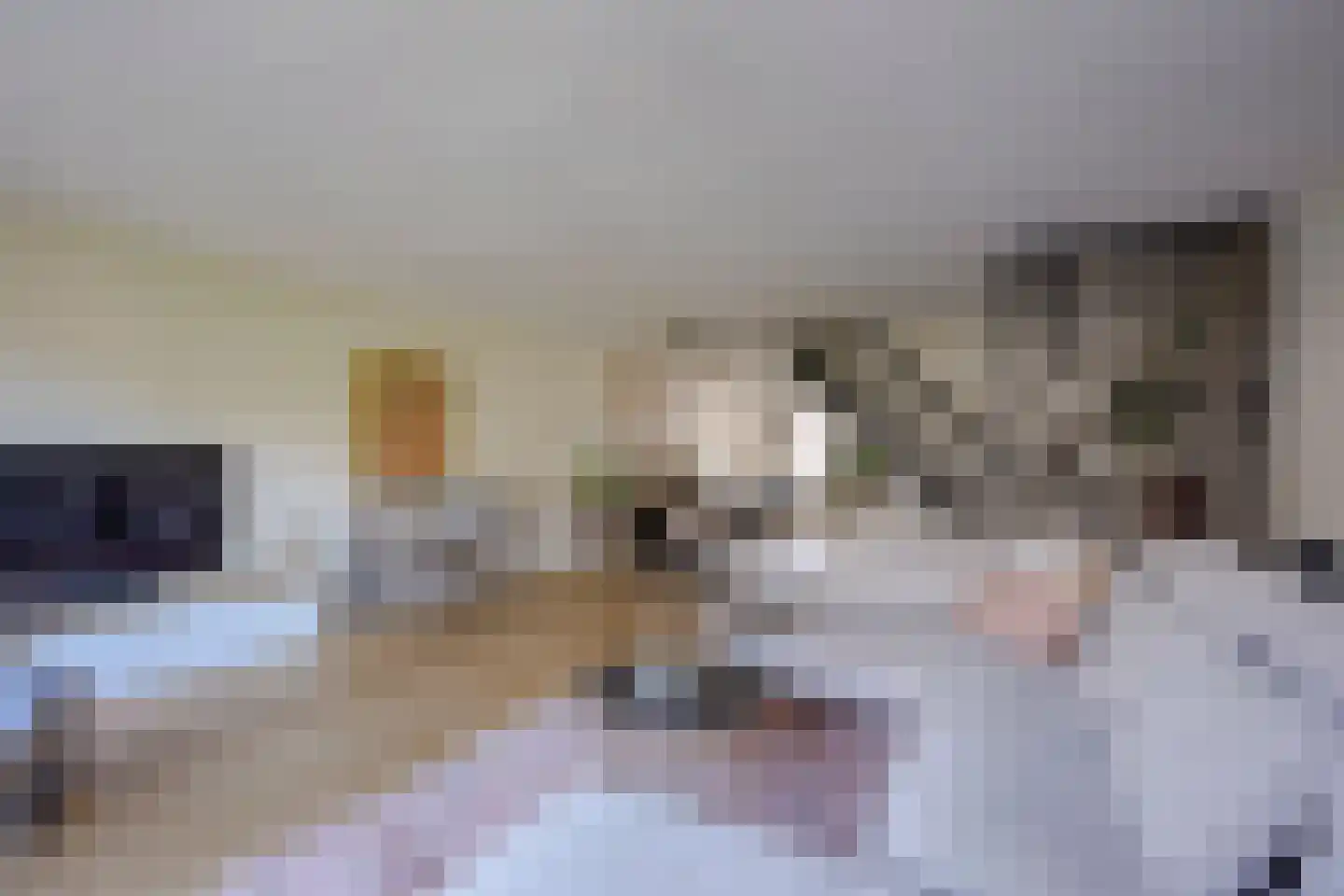 Adderwortel 12 De Meern thumbnail 23