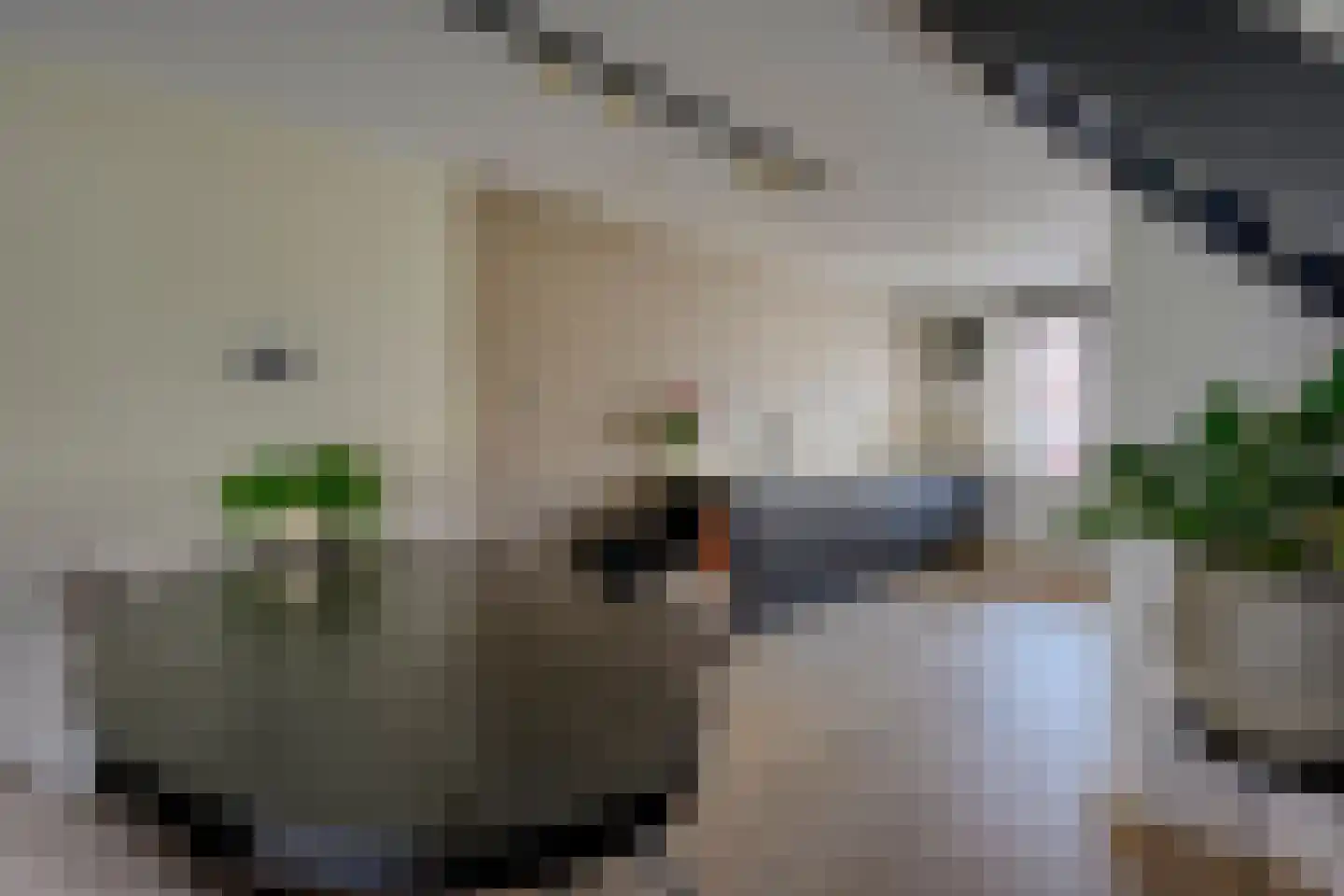Adderwortel 12 De Meern thumbnail 27