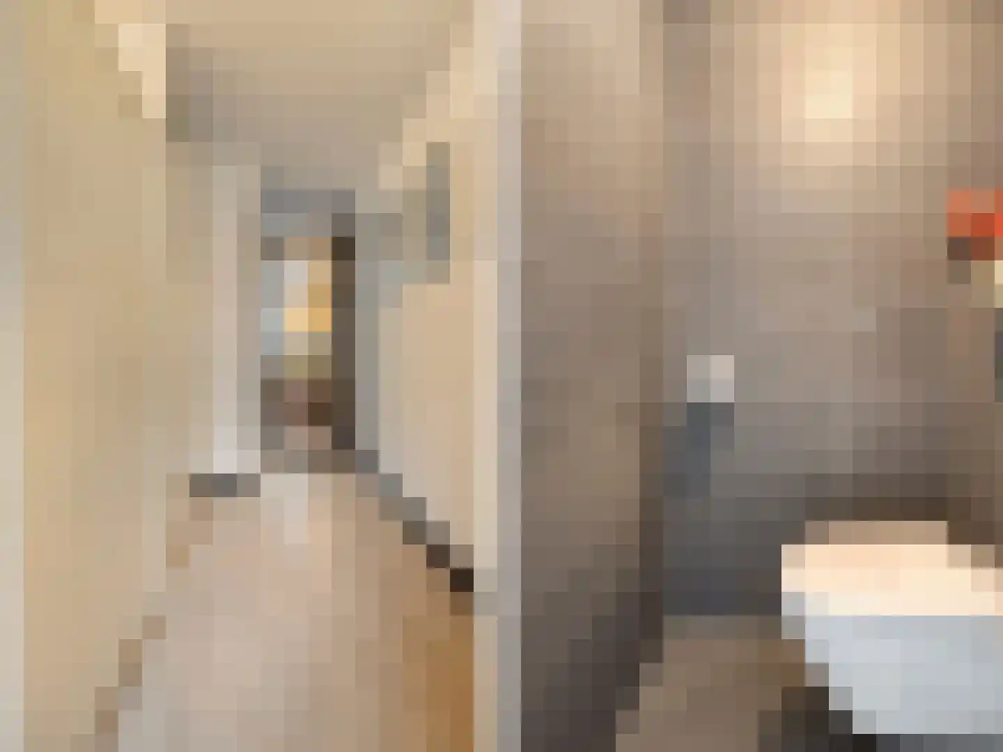 Adderwortel 13 De Meern thumbnail 14