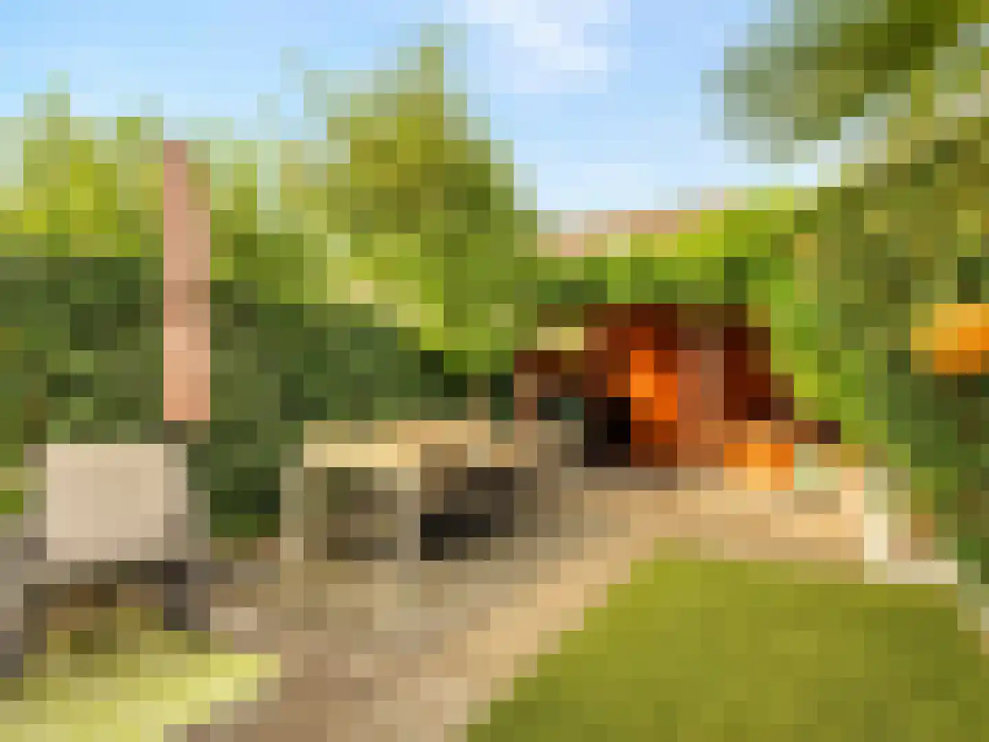 Adderwortel 13 De Meern thumbnail 19