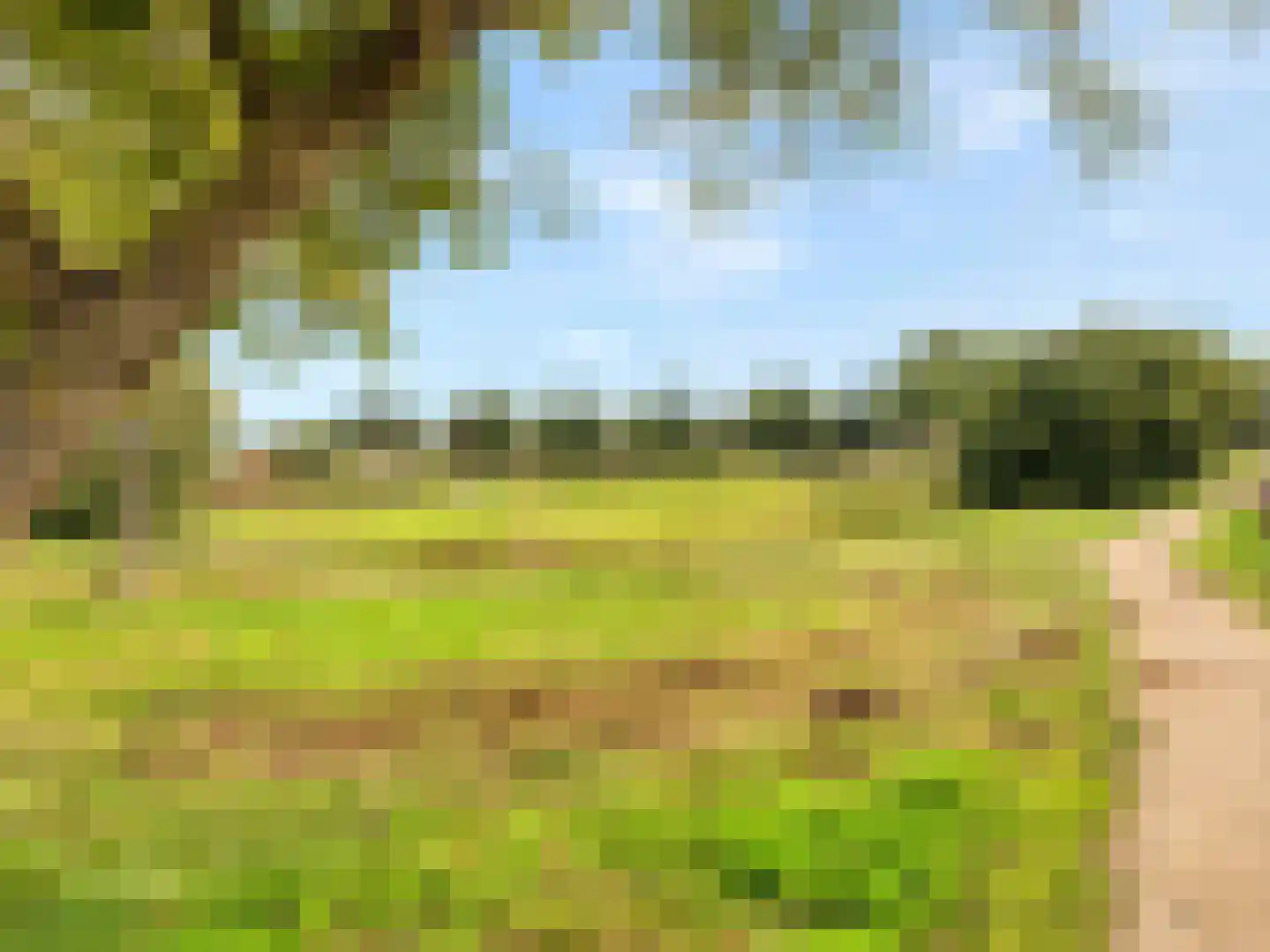 Adderwortel 13 De Meern thumbnail 36