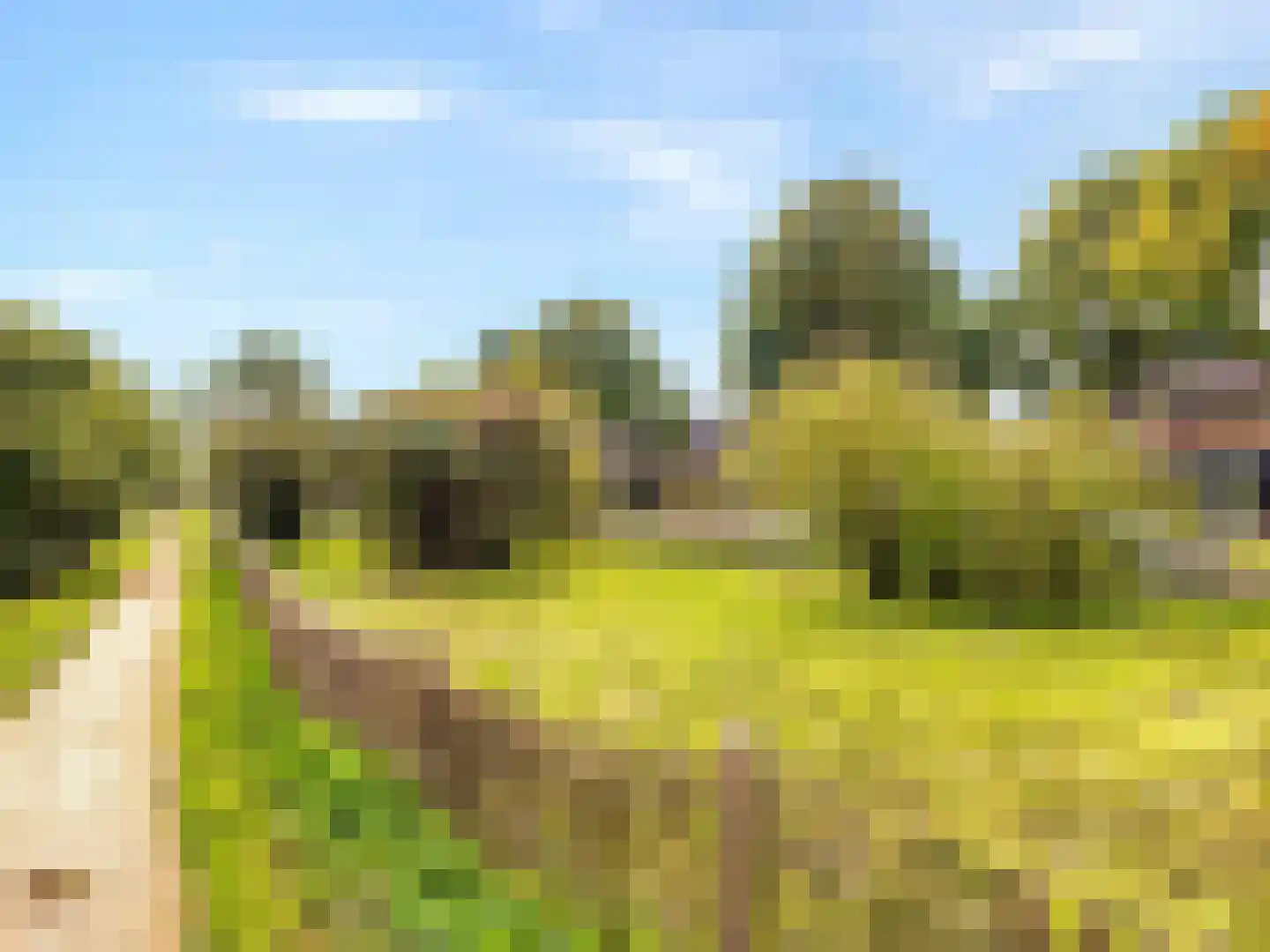 Adderwortel 13 De Meern thumbnail 37