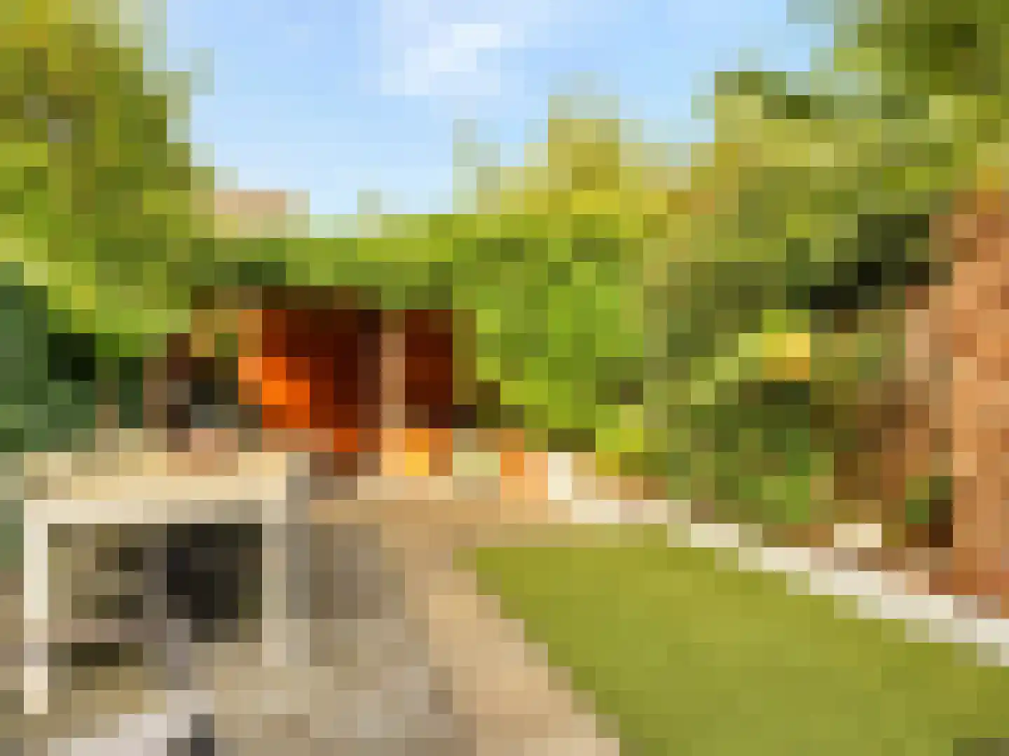 Adderwortel 13 De Meern thumbnail 6