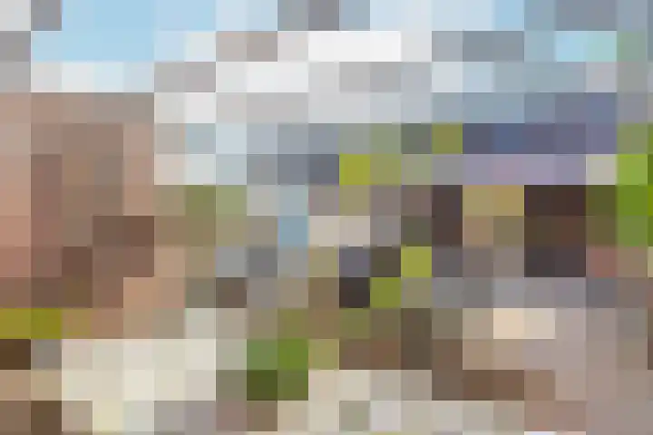 Adderwortel 16 De Meern thumbnail 14