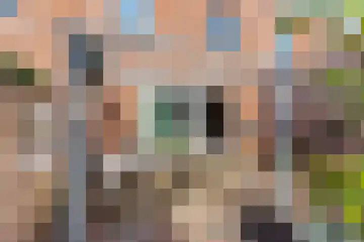 Adderwortel 16 De Meern thumbnail 17