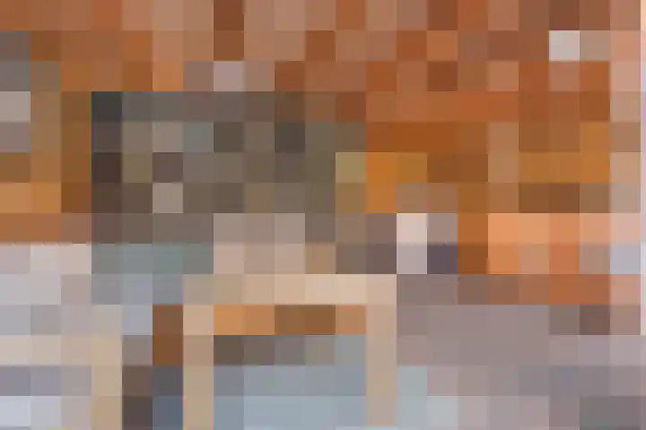 Adderwortel 16 De Meern thumbnail 20