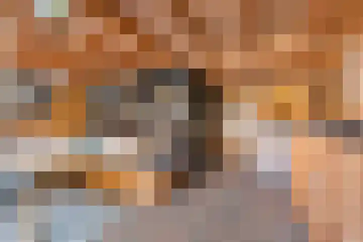 Adderwortel 16 De Meern thumbnail 22