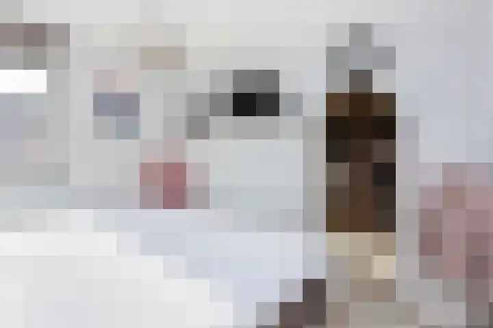 Adderwortel 16 De Meern thumbnail 31
