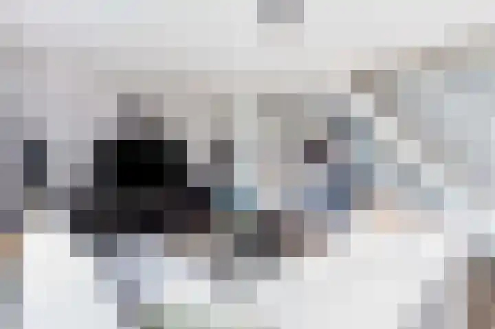 Adderwortel 16 De Meern thumbnail 4