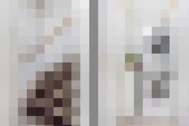 Adderwortel 16 De Meern thumbnail 40