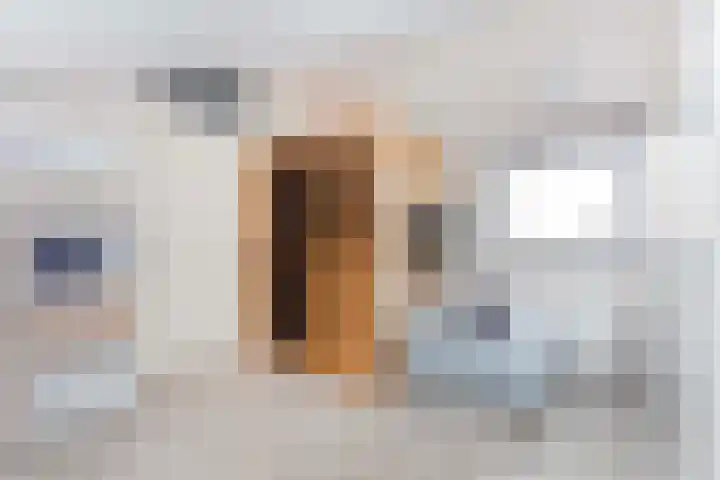 Adderwortel 16 De Meern thumbnail 41