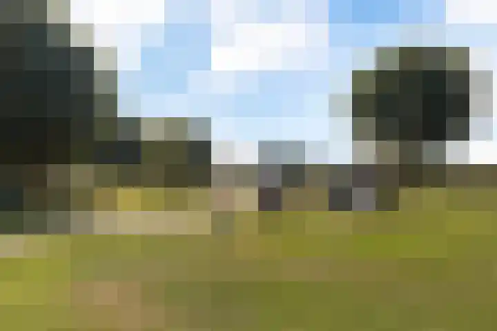 Adderwortel 16 De Meern thumbnail 47