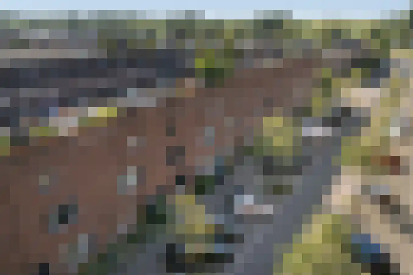 Adderwortel 20 De Meern thumbnail 32