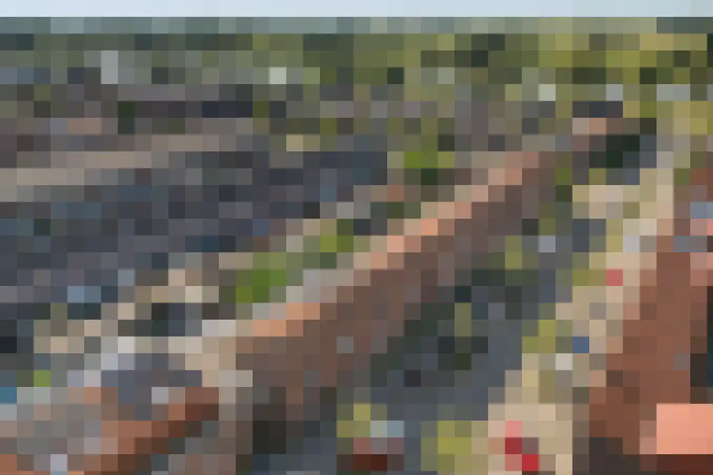 Adderwortel 20 De Meern thumbnail 39