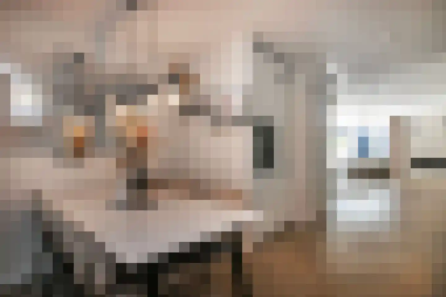 Adderwortel 20 De Meern thumbnail 4