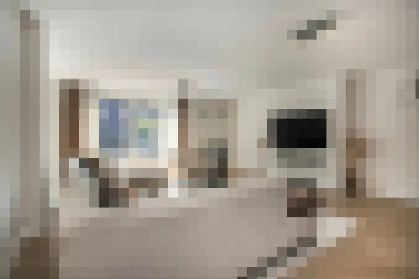 Adderwortel 20 De Meern thumbnail 5