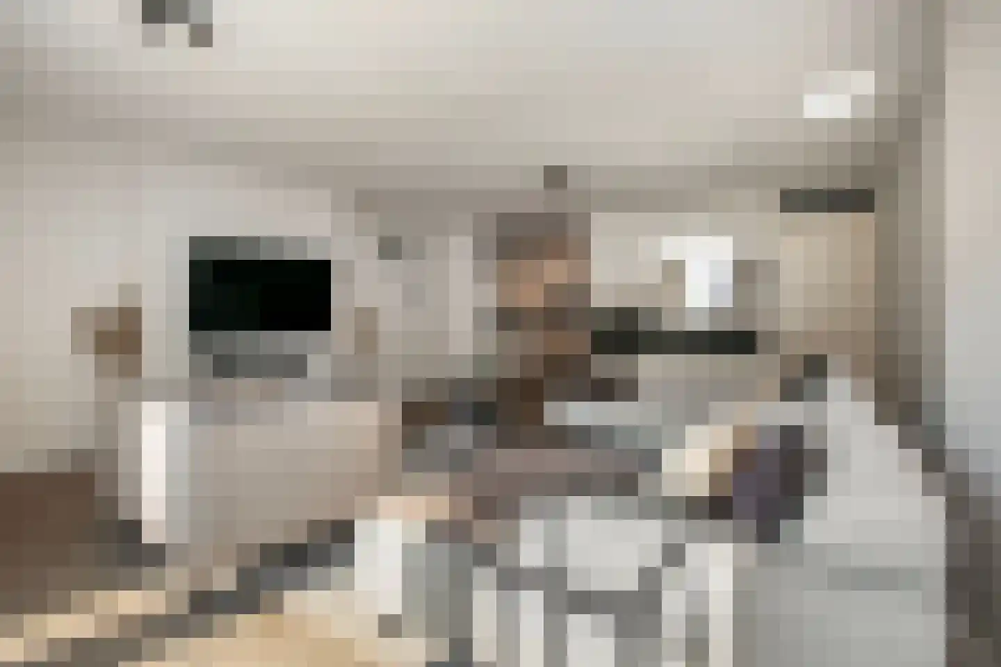 Adderwortel 20 De Meern thumbnail 7