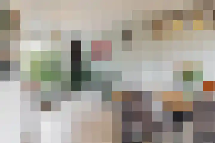 Adegeest 9 Leiderdorp thumbnail 10