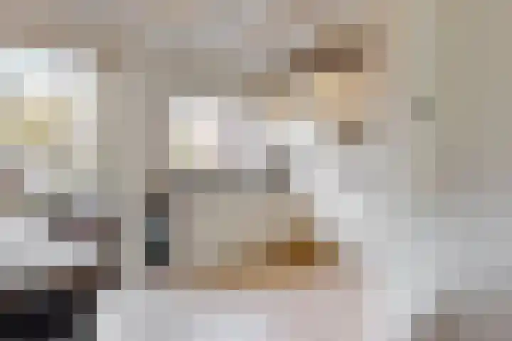 Adegeest 9 Leiderdorp thumbnail 12