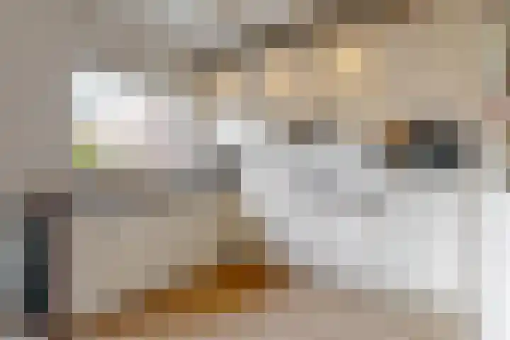 Adegeest 9 Leiderdorp thumbnail 13