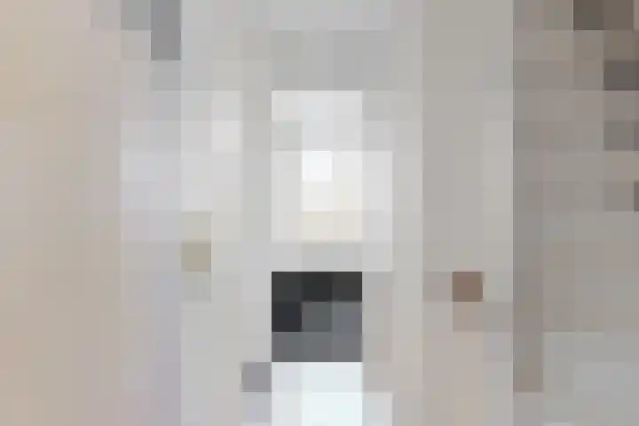 Adegeest 9 Leiderdorp thumbnail 22