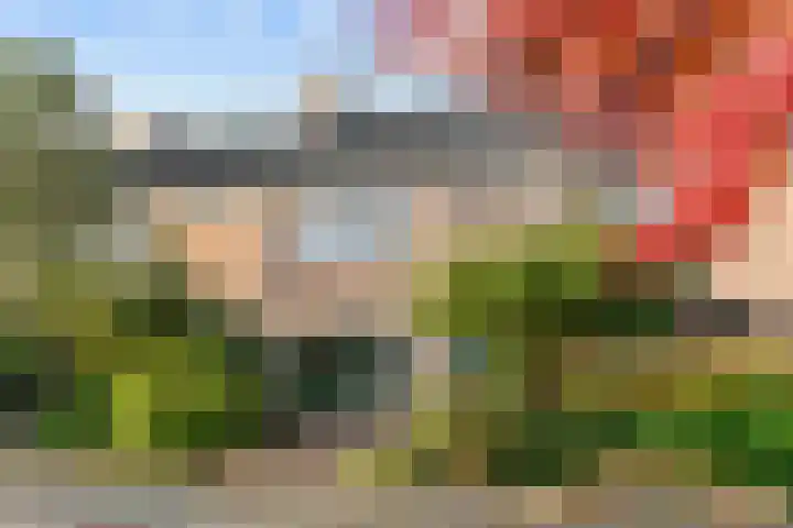 Adegeest 9 Leiderdorp thumbnail 4