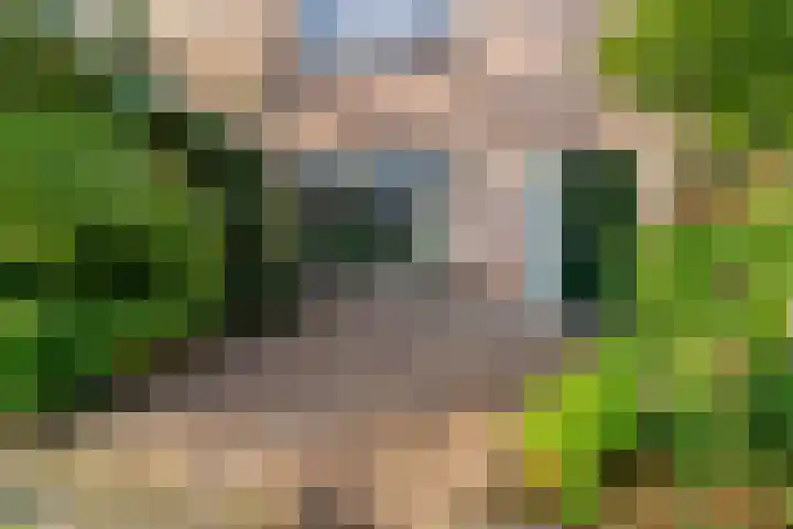 Adegeest 9 Leiderdorp thumbnail 5