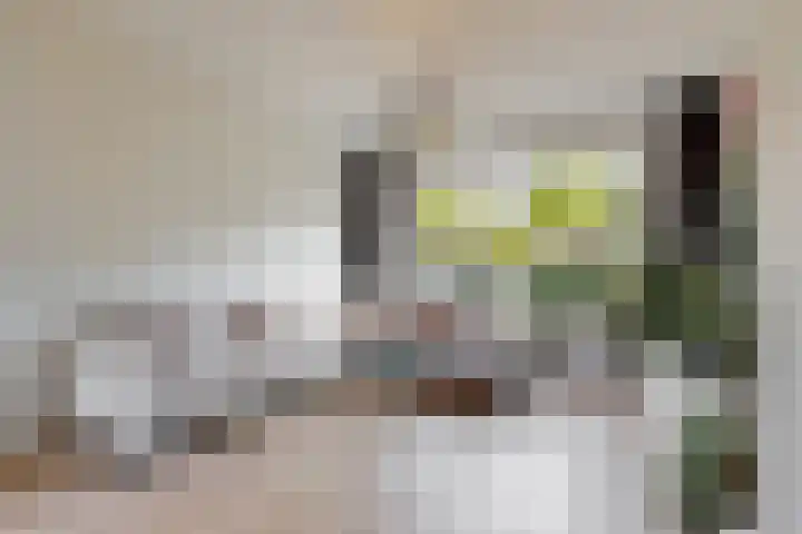 Adegeest 9 Leiderdorp thumbnail 7