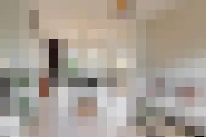 Adegeest 9 Leiderdorp thumbnail 8