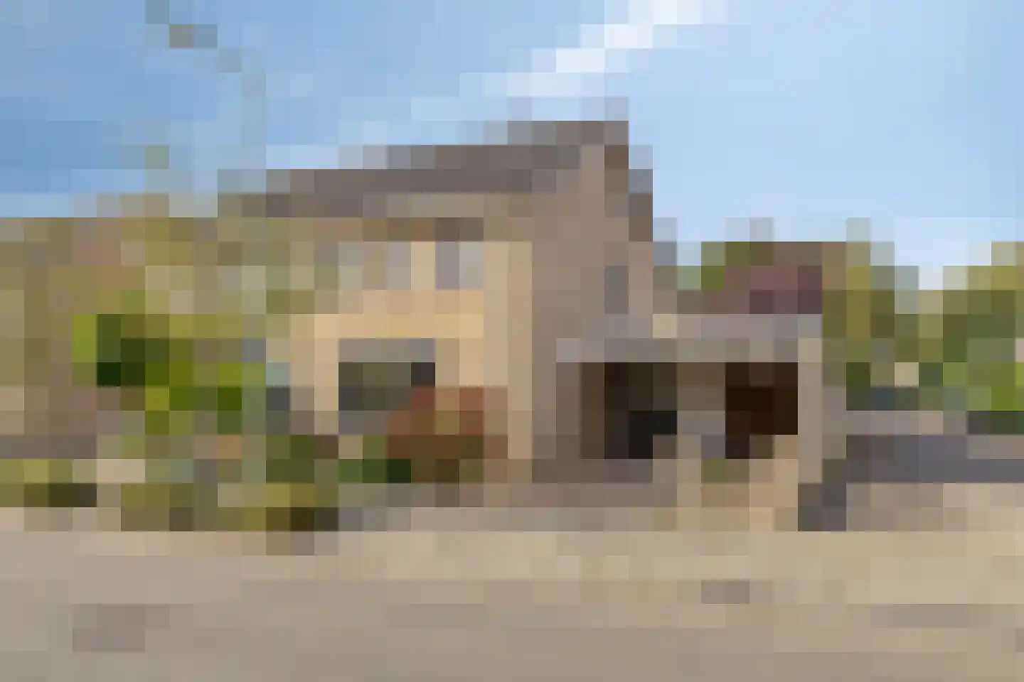 Adelaar 109 Oss