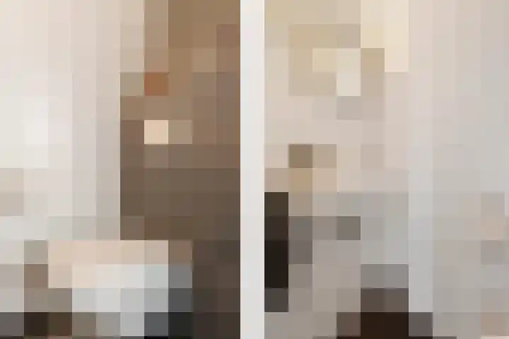 Adelaar 24 Oss thumbnail 10