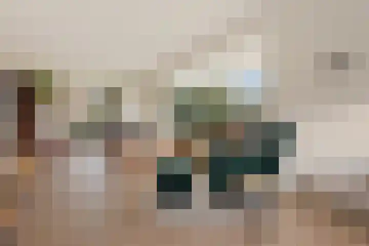 Adelaar 24 Oss thumbnail 11