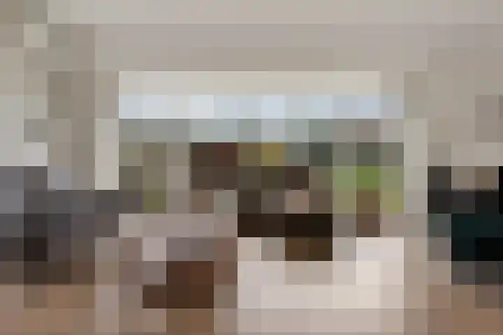 Adelaar 24 Oss thumbnail 12