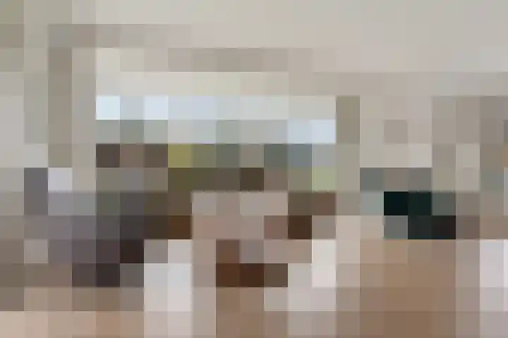 Adelaar 24 Oss thumbnail 13