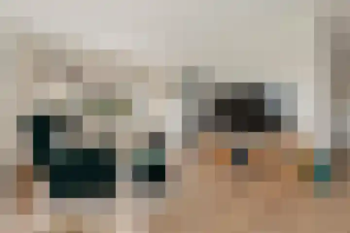 Adelaar 24 Oss thumbnail 14