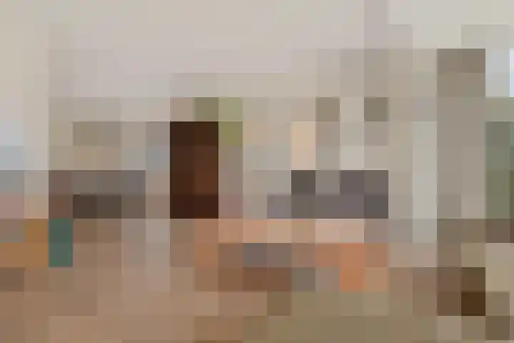 Adelaar 24 Oss thumbnail 15