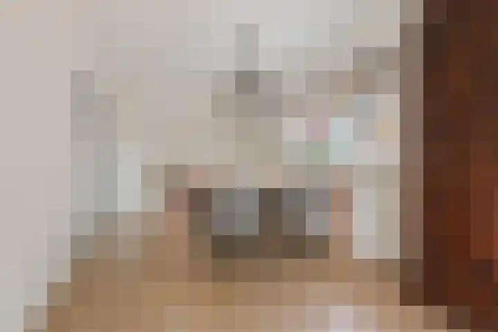 Adelaar 24 Oss thumbnail 17