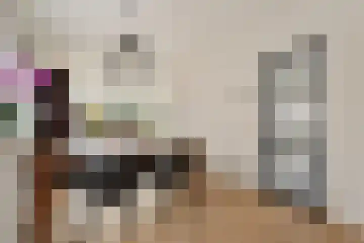 Adelaar 24 Oss thumbnail 18